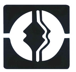 華建電子有限責任公司